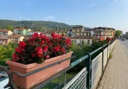 Sono tornati i vasi di fiori sui ponti cittadini ad abbellire l’estate in città 